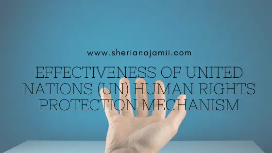 United Nations (UN) human rights protection mechanisms