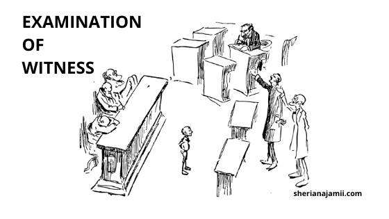 Examination Of Witnesses 2024 techniques Illustrations Sheria Na 