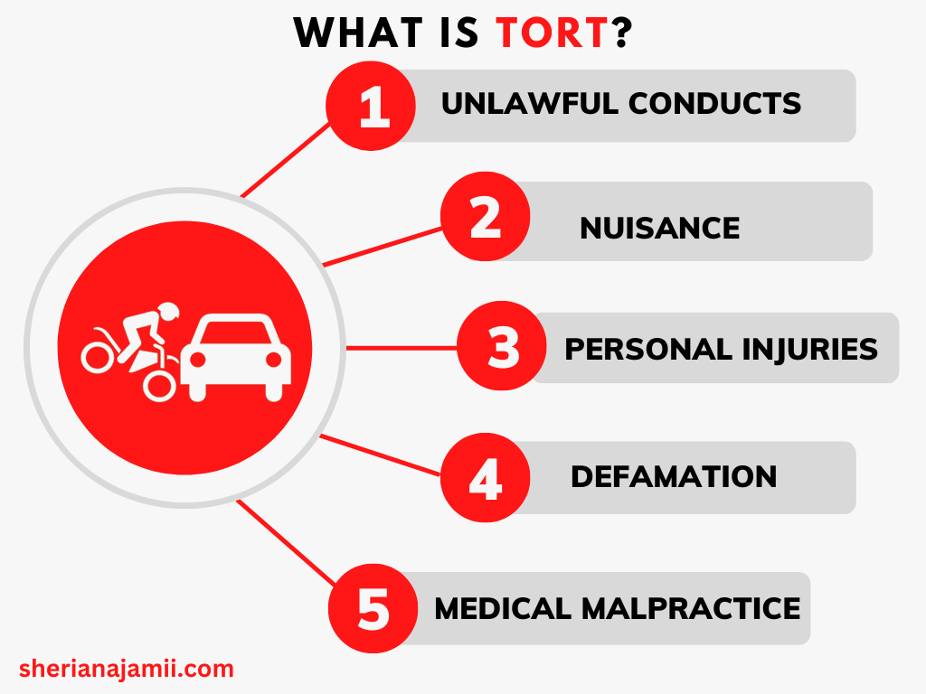 tort meaning in law, law of tort meaning, law of tort definition, torts definition law,