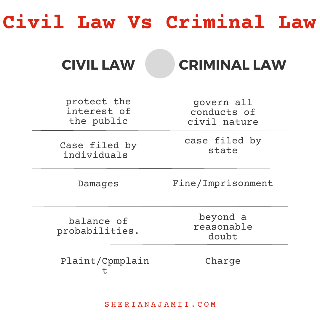 difference between civil and criminal law essay pdf