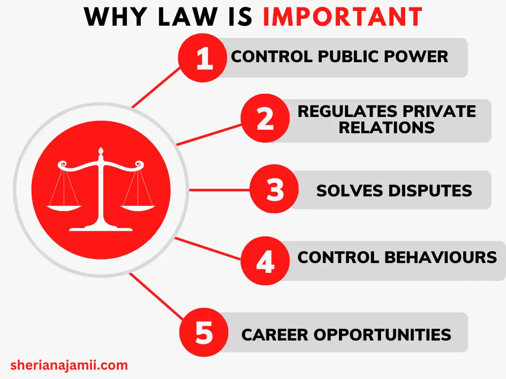 why law is important, why is law needed in our society?
