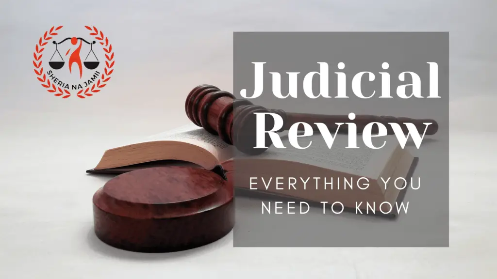 Judicial Review in Tanzania, what is judicial review, grounds for judcial review, how to apply for judicial review