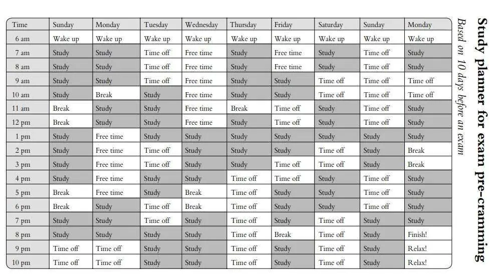 ;aw school study planner 10 days before exams