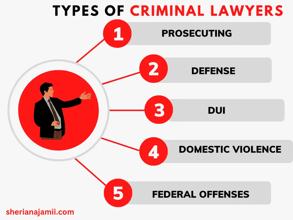 Types of criminal lawyers