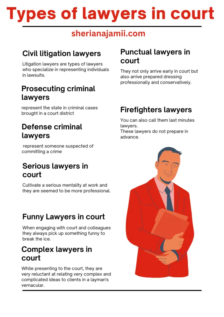 types of lawyers in court